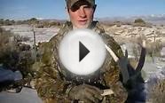 Mule deer shed hunting