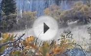 My Colorado Black Bear Hunt