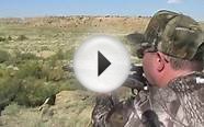 NEW MEXICO ELK HUNT
