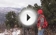 On Your Own Adventures - Colorado Bighorn