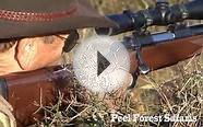 Peel Forest Safaris - Big Game Hunting