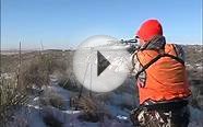 Perfect Shot on an Eastern Colorado Mule Deer Hunt - MossBack