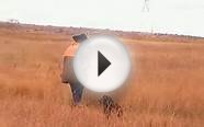 Pheasant Hunting at Colorado Private Hunt Club