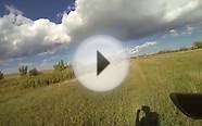 Pheasant Hunting in Colorado