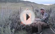 Private Land MuzzleLoader Bull Elk Hunt