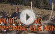 Public Land Elk Hunt! 2012
