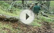 Red Stag Hunting in Argentina in the mountains by horseback