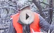Rifle Elk Hunt Dale Judd - Teterhorn
