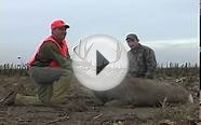 Rifle Mule Deer Hunt Darren Kolbe Eastern Colorado