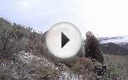 Rifle Mule Deer Hunting in Colorado - Brandon Verde - MossBack