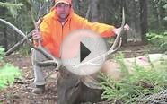 Ripple Creek Lodge Elk Hunting