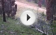 Rocky Mountain Meat Hunter - Colorado Elk Archery Hunting