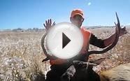 Rocky Mountain Ranches, Ltd. - Quality Private Land Hunting