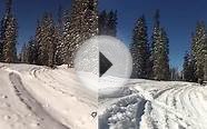 Snowmobiles in White River National Forest, Colorado