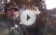 Spring Snow Goose Hunting 2014116 bird day