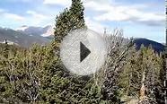 Summit of Deer Mountain, Rocky Mountain National Park