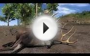 TheHunter Guest Guide -Mule Deer Hunt-