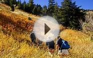 Uncompahgre Hunt Club
