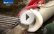 US Dept of Fish & Wildlife use cannon to transport