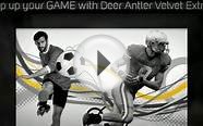 Where to Buy Deer Antler Velvet Extract