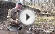 Whitetail Deer Hunting Lodge & Outfitter: Pike County