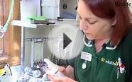 Wildlife SOS Online - Episode 6