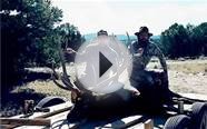 World Class New Mexico Elk Hunting Ranch For Sale