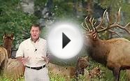 World Class Outdoors - Hunting Guides, Outfitters and Lodges