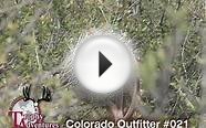 WTA Colorado Outfitter #021_Mule Deer_3