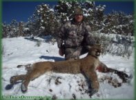 Western Colorado guided mountain lion archery hunt - Colorado Bow Hunter Landon Bradbury with his tom 2015