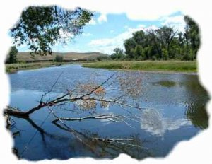 Yampa river at the state wildlife area access photo